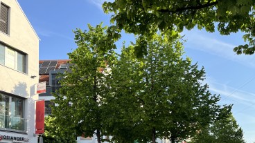 Göppingen - Baubürgermeisterin Eva Noller ruft zur Suche nach schattigen Plätzen auf