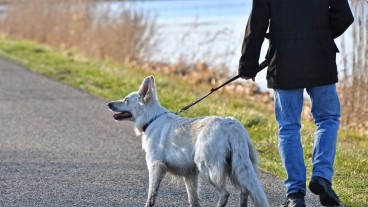 Göppingen - Zum Schutz der Wildtiere bis Mitte Juli im Wald und Flur Hunde an die Leine nehmen
