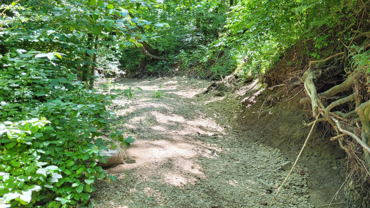 Landkreis Göppingen - Hitzewelle: Wenig Wasser in Gewässern, Nutzung wird eingeschränkt
