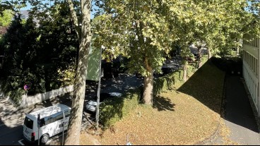 Göppingen - Über 11.000 Stadtbäume im Trockenstress