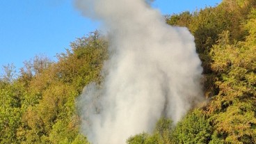 Mühlhausen - Gartenhütte in Waldstück brennt