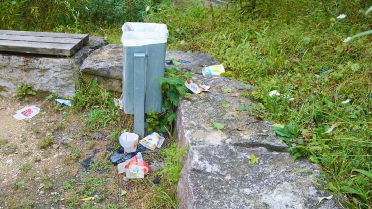 Göppingen - World Cleanup Day