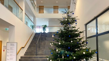 Eislingen - Wunschbaum im Eislinger Rathaus ab 26.11.2026
