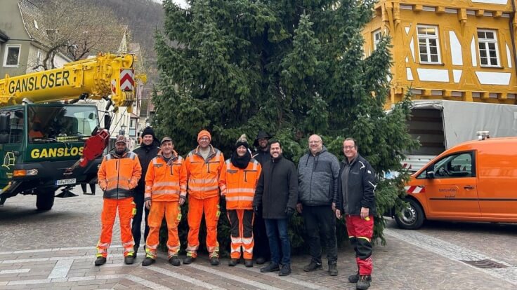 Geislingen - Weihnachtsbaum für die Adventsdekoration gesucht