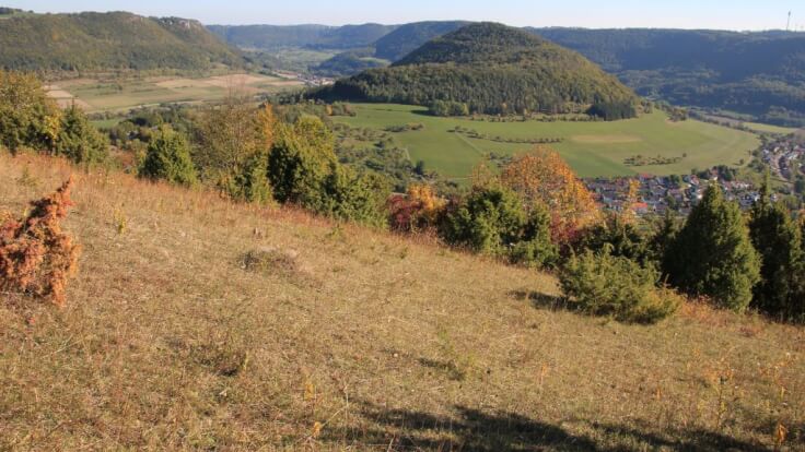 Landkreis Göppingen - Landschaftspflegeeinsatz im Naturschutzgebiet Haarberg-Wasserberg