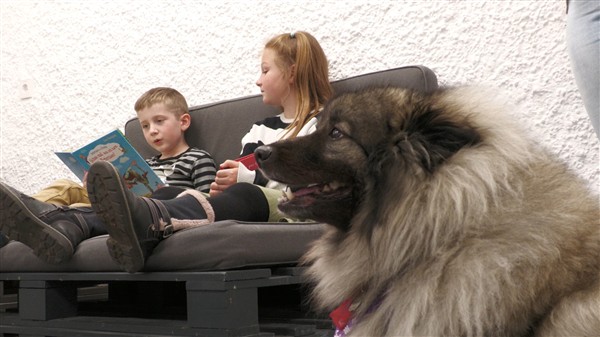 Göppingen: Lesehündin Caily gibt Kindern Selbstvertrauen