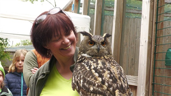 Heiningen: Greifvogelzentrum Falconis Filstal feiert fünfjähriges Bestehen 