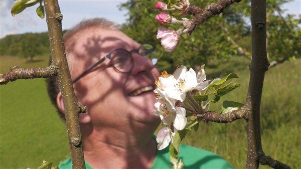 Gingen: Lehrpfad zeigt die Vielfalt heimischer Obstsorten