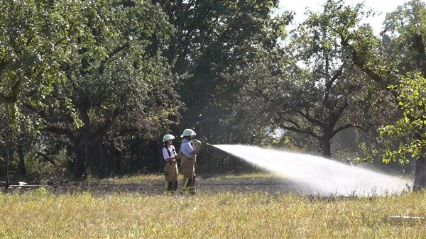 Göppingen/Faurndau: Weggeworfene Zigarette löst Flächenbrand aus