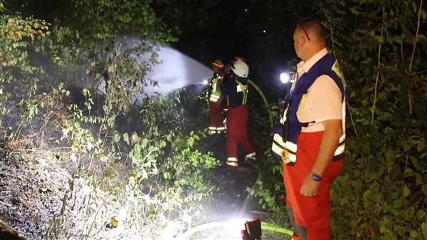 Geislingen: Waldbrand sorgt für Bahnstreckensperrung